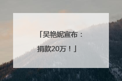 吴艳妮宣布：捐款20万！