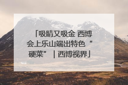 吸睛又吸金 西博会上乐山端出特色“硬菜”｜西博视界