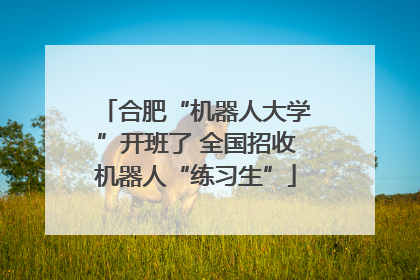 合肥“机器人大学”开班了 全国招收机器人“练习生”