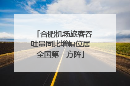 合肥机场旅客吞吐量同比增幅位居全国第一方阵