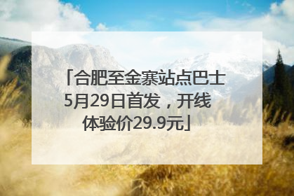 合肥至金寨站点巴士5月29日首发，开线体验价29.9元