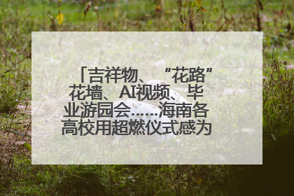 吉祥物、“花路”花墙、AI视频、毕业游园会……海南各高校用超燃仪式感为学子青春“存档”