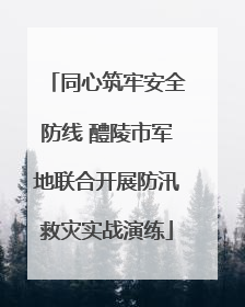 同心筑牢安全防线 醴陵市军地联合开展防汛救灾实战演练