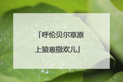 呼伦贝尔草原上狼崽撒欢儿