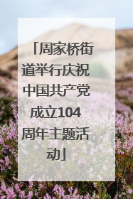 周家桥街道举行庆祝中国共产党成立104周年主题活动