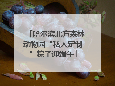 哈尔滨北方森林动物园“私人定制”粽子迎端午