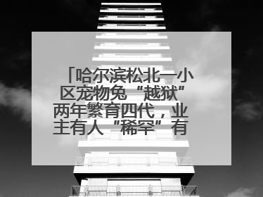 哈尔滨松北一小区宠物兔“越狱”两年繁育四代，业主有人“稀罕”有人忧，专家提醒
