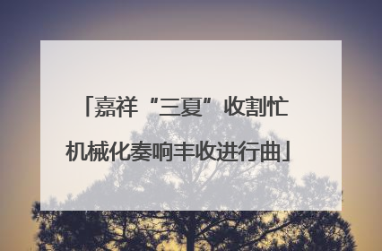 嘉祥“三夏”收割忙 机械化奏响丰收进行曲