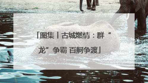 图集丨古城燃情：群“龙”争霸 百舸争渡
