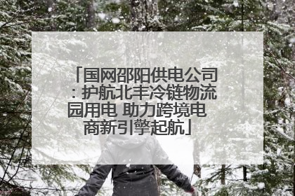 国网邵阳供电公司：护航北丰冷链物流园用电 助力跨境电商新引擎起航