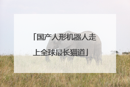 国产人形机器人走上全球最长猫道