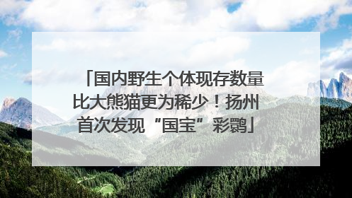 国内野生个体现存数量比大熊猫更为稀少！扬州首次发现“国宝”彩鹮