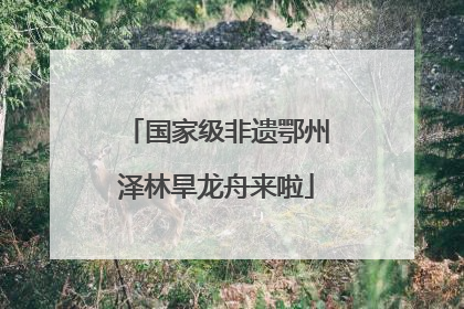 国家级非遗鄂州泽林旱龙舟来啦