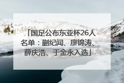 国足公布东亚杯26人名单：蒯纪闻、廖锦涛、薛庆浩、于金永入选