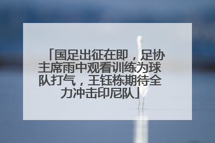 国足出征在即，足协主席雨中观看训练为球队打气，王钰栋期待全力冲击印尼队