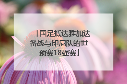 国足抵达雅加达备战与印尼队的世预赛18强赛
