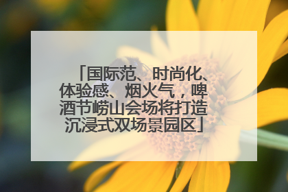 国际范、时尚化、体验感、烟火气，啤酒节崂山会场将打造沉浸式双场景园区
