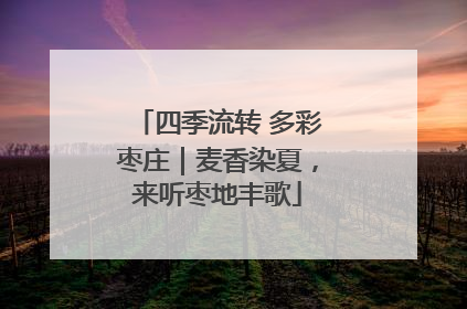 四季流转 多彩枣庄｜麦香染夏，来听枣地丰歌