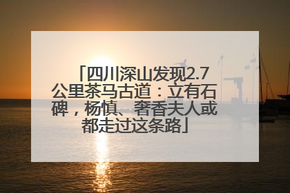 四川深山发现2.7公里茶马古道：立有石碑，杨慎、奢香夫人或都走过这条路