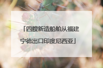 四艘新造船舶从福建宁德出口印度尼西亚