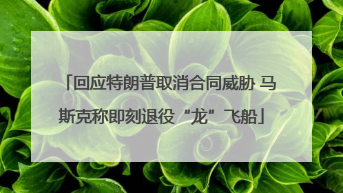 回应特朗普取消合同威胁 马斯克称即刻退役“龙”飞船