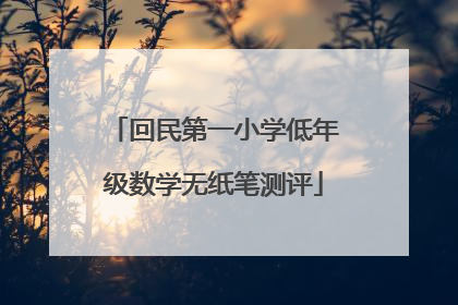 回民第一小学低年级数学无纸笔测评