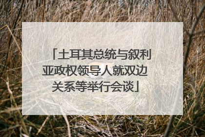土耳其总统与叙利亚政权领导人就双边关系等举行会谈