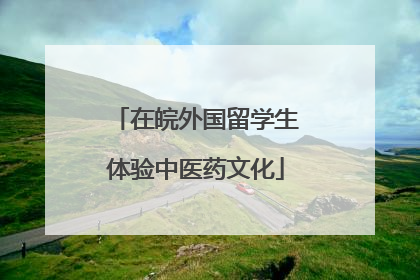 在皖外国留学生体验中医药文化