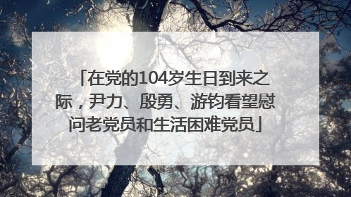 在党的104岁生日到来之际，尹力、殷勇、游钧看望慰问老党员和生活困难党员