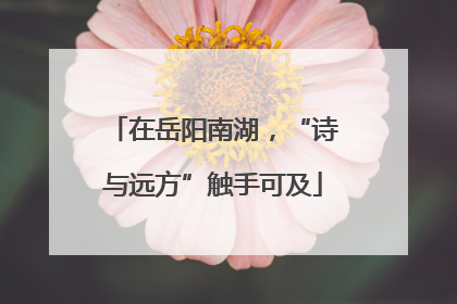 在岳阳南湖，“诗与远方”触手可及