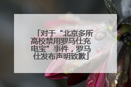 对于“北京多所高校禁用罗马仕充电宝”事件，罗马仕发布声明致歉