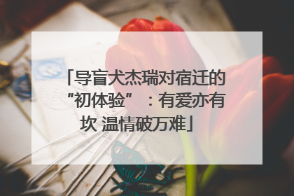 导盲犬杰瑞对宿迁的“初体验”：有爱亦有坎 温情破万难