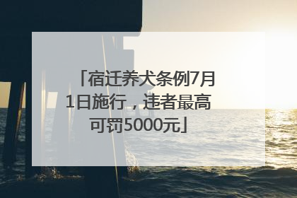 宿迁养犬条例7月1日施行，违者最高可罚5000元