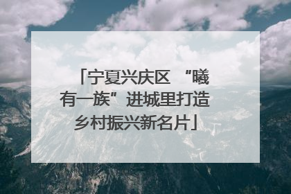 宁夏兴庆区 “曦有一族”进城里打造乡村振兴新名片