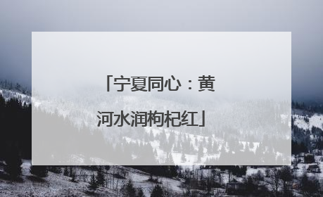 宁夏同心：黄河水润枸杞红