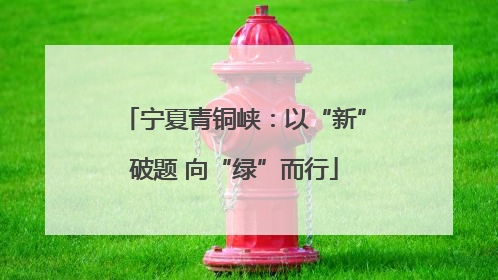 宁夏青铜峡：以“新”破题 向“绿”而行