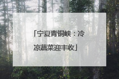 宁夏青铜峡：冷凉蔬菜迎丰收