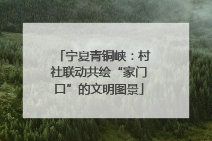 宁夏青铜峡：村社联动共绘“家门口”的文明图景