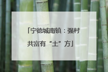 宁德城南镇：强村共富有“土”方