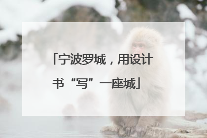 宁波罗城，用设计书“写”一座城