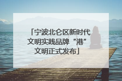 宁波北仑区新时代文明实践品牌“港”文明正式发布