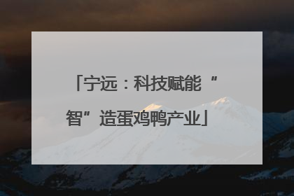 宁远：科技赋能“智”造蛋鸡鸭产业