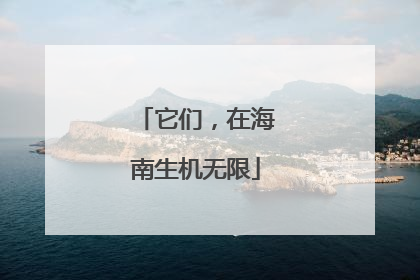 它们，在海南生机无限