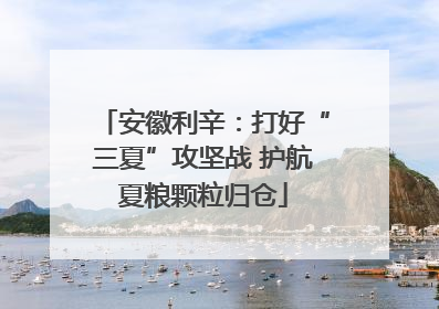 安徽利辛：打好“三夏”攻坚战 护航夏粮颗粒归仓