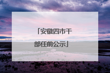 安徽四市干部任前公示
