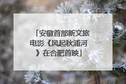 安徽首部新文旅电影《风起秋浦河》在合肥首映