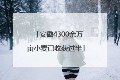 安徽4300余万亩小麦已收获过半