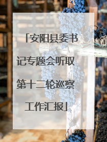 安阳县委书记专题会听取第十二轮巡察工作汇报