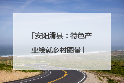 安阳滑县：特色产业绘就乡村图景