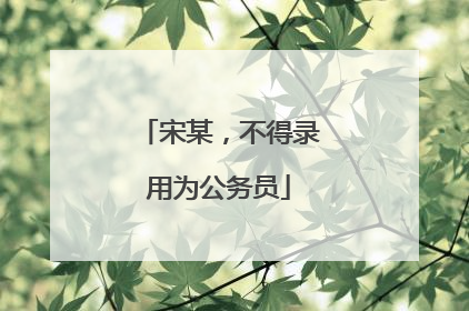 宋某，不得录用为公务员